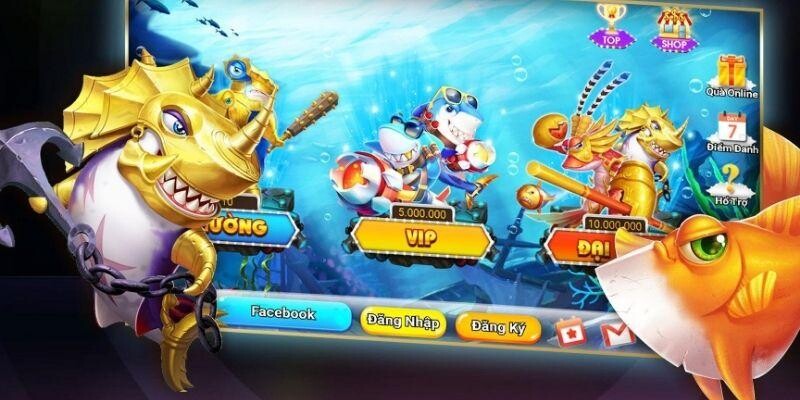 Quan sát cá giúp kiểm soát thao tác hiệu quả Quan sát cá giúp kiểm soát thao tác hiệu quả